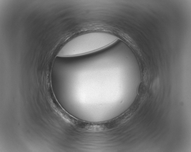 X0000080100449200612080933