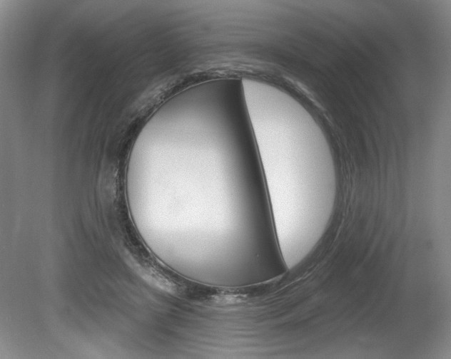 X0000080100451200612080934