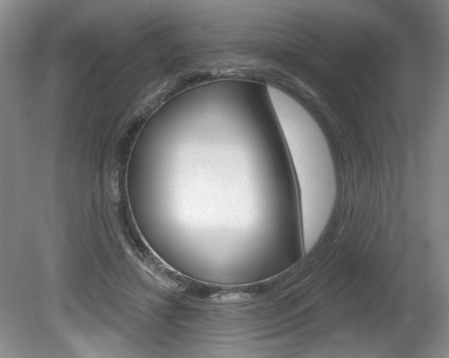 X0000080100452200612080934