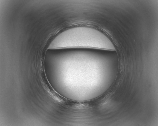 X0000080100453200612080934