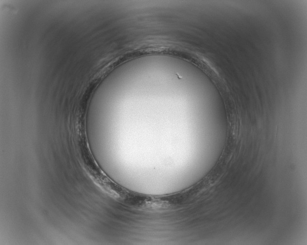 X0000080100455200612080934