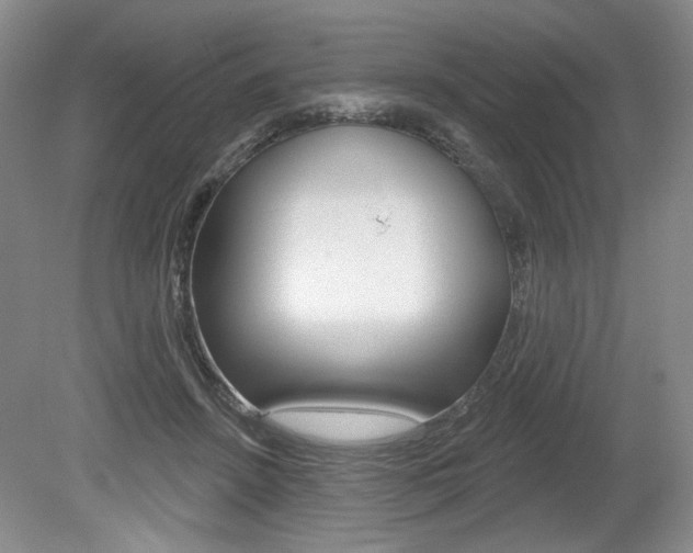 X0000080100456200612080934
