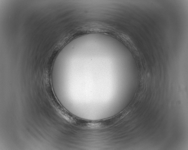 X0000080100457200612080934