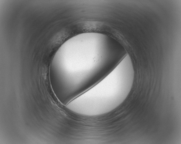 X0000080100458200612080934