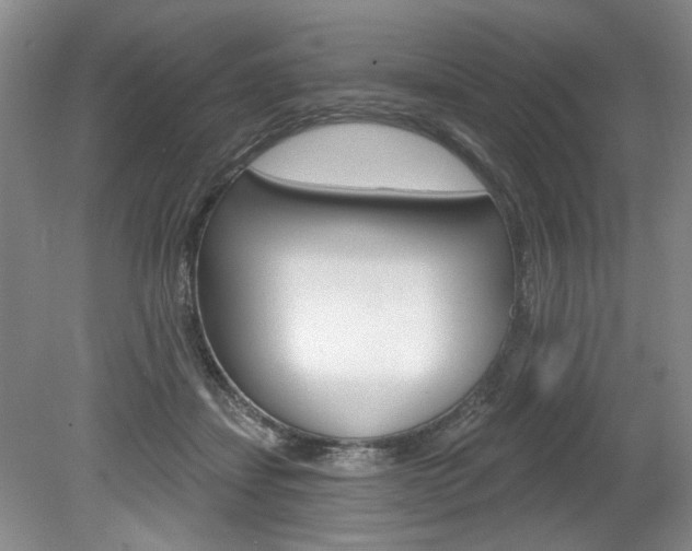 X0000080100459200612080934