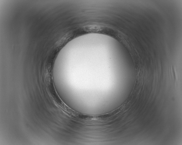 X0000080100460200612080934