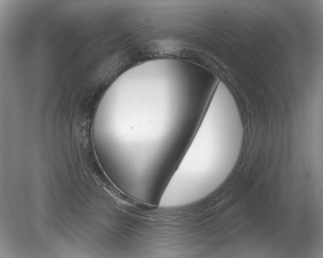 X0000080100462200612080934