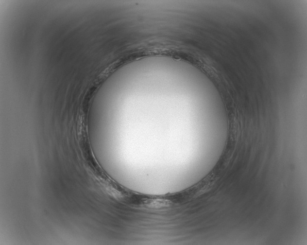 X0000080100463200612080934