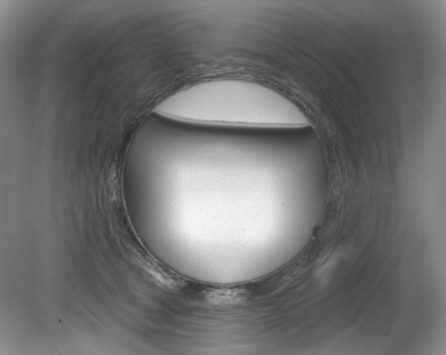 X0000080100465200612080934