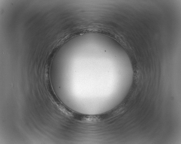 X0000080100466200612080934