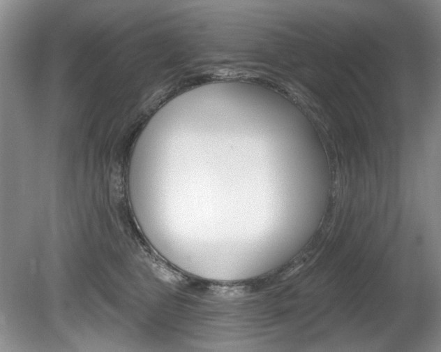 X0000080100469200612080934