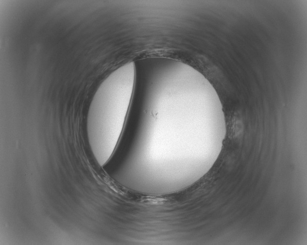 X0000080100472200612080934