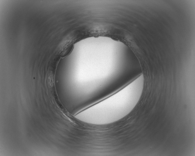 X0000080100474200612080934
