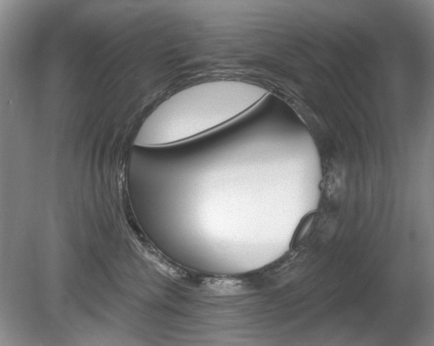 X0000080100476200612080934