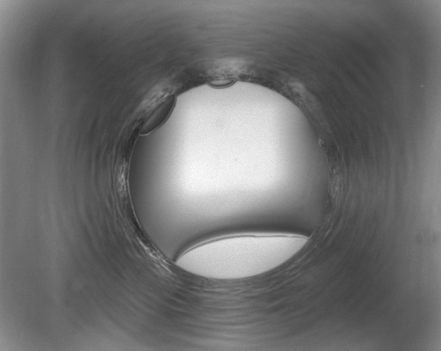 X0000080100477200612080934