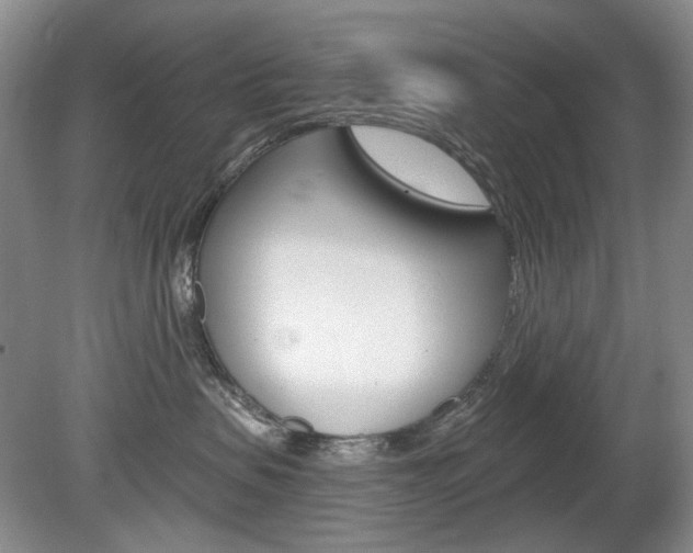 X0000080100479200612080934
