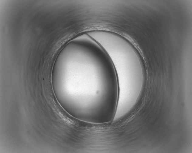 X0000080100481200612080933