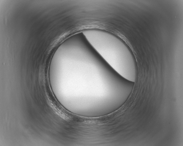 X0000080100482200612080933