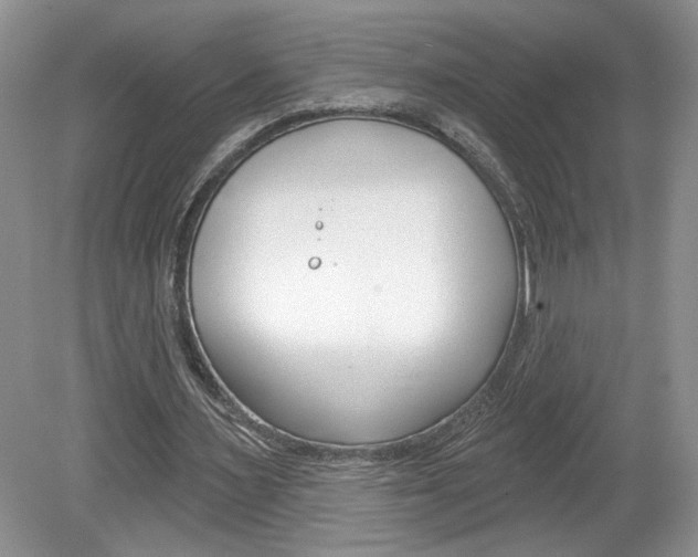 X0000080100483200612080933