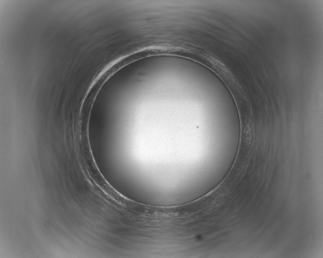 X0000080100484200612080933