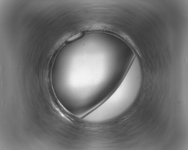 X0000080100485200612080933
