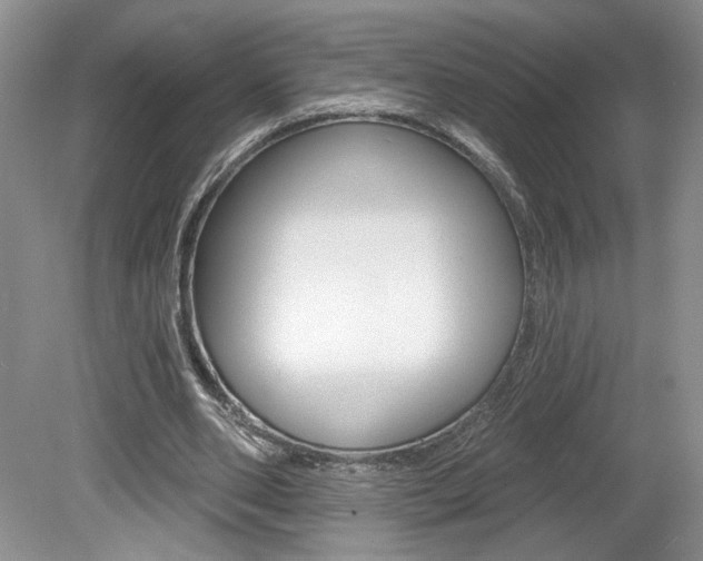 X0000080100486200612080933
