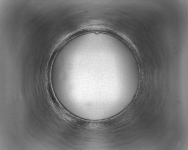 X0000080100487200612080933