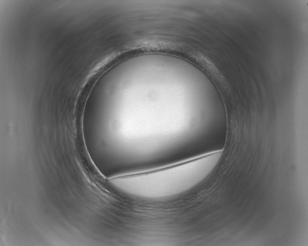 X0000080100488200612080933