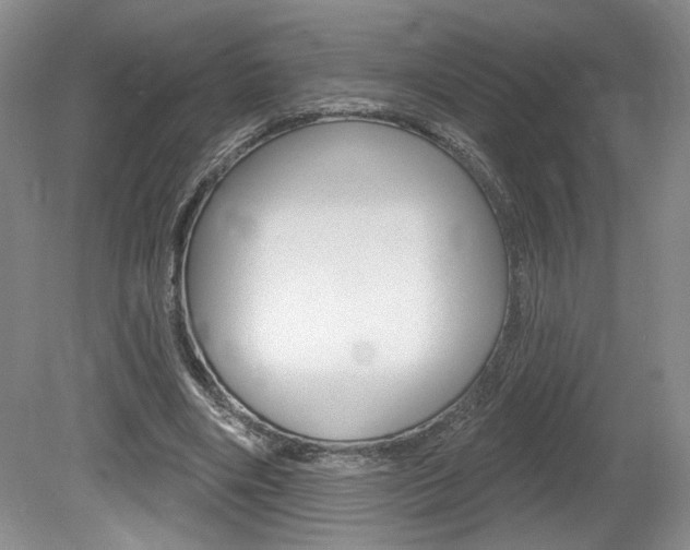 X0000080100490200612080933