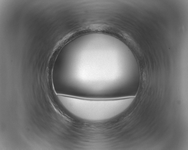 X0000080100492200612080933