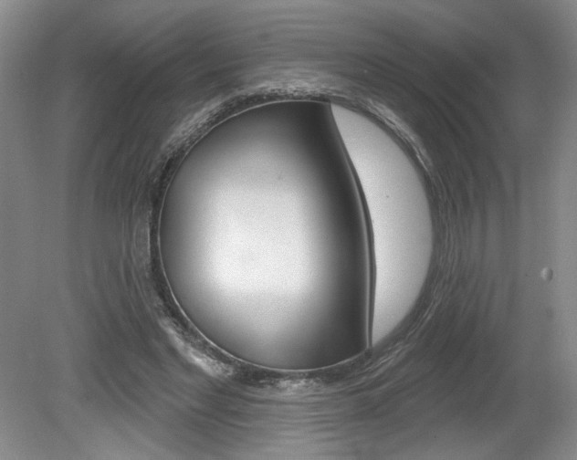 X0000080100493200612080933