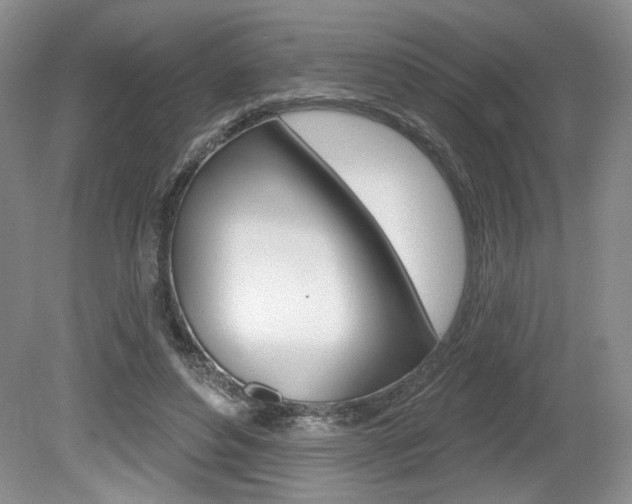 X0000080100496200612080933