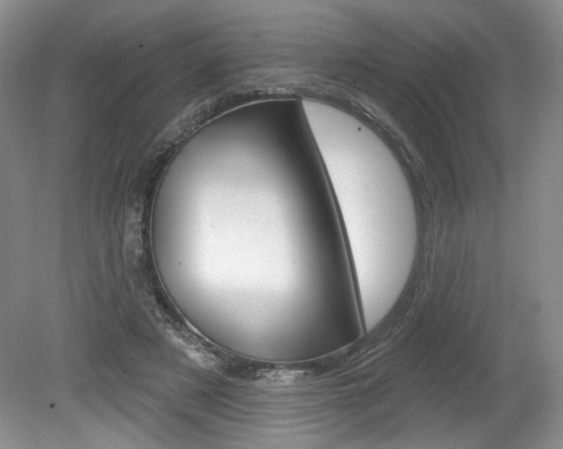 X0000080100497200612080933