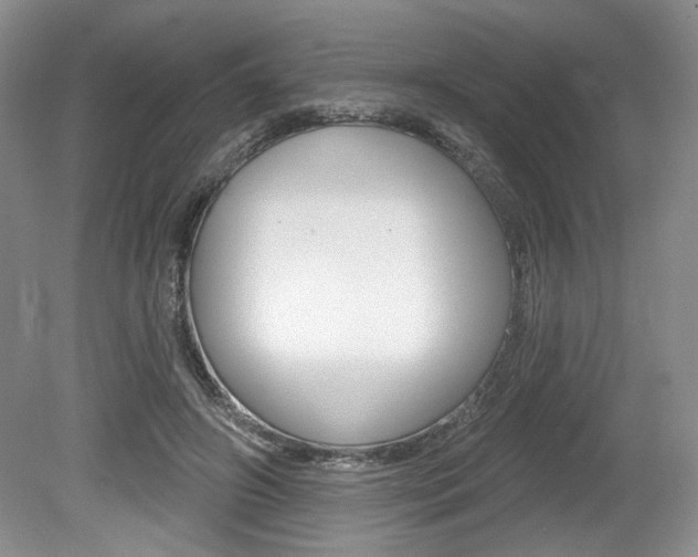 X0000080100498200612080933