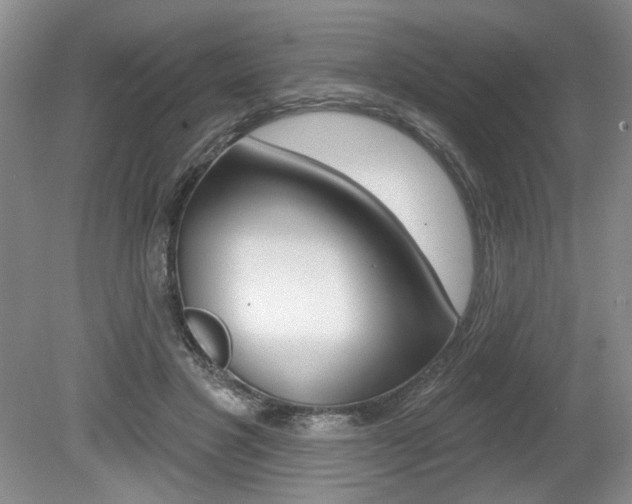 X0000080100501200612080933