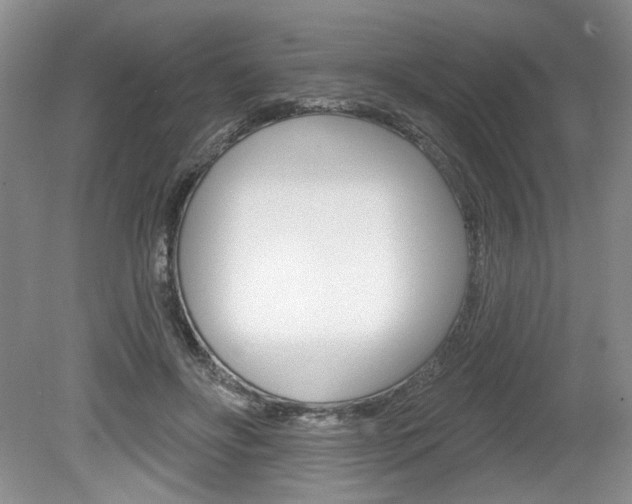 X0000080100502200612080933