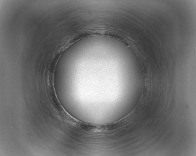 X0000080100504200612080933