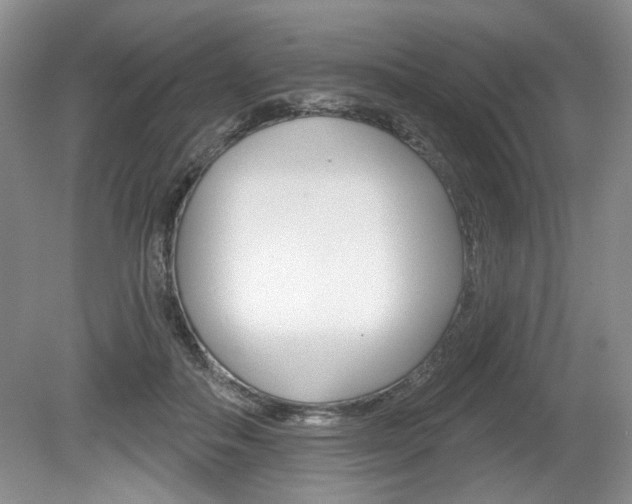X0000080100506200612080933