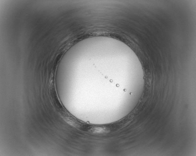 X0000080100507200612080933
