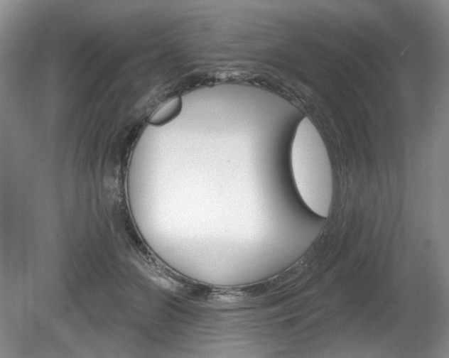X0000080100510200612080933