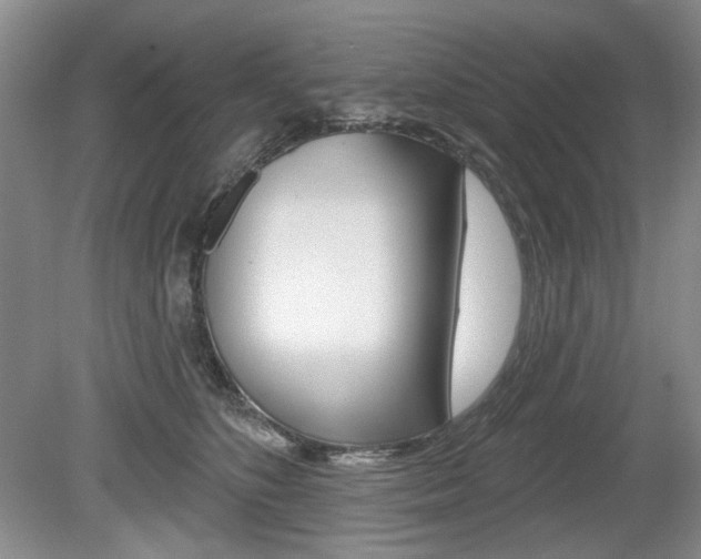 X0000080100516200612080933