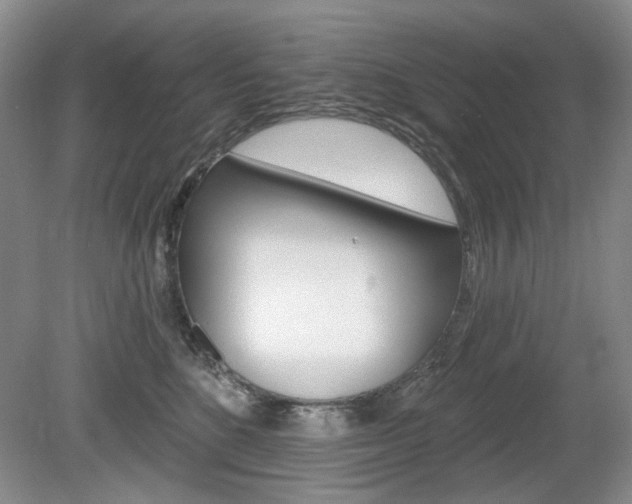 X0000080100520200612080933