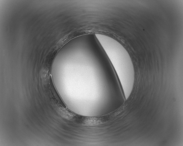 X0000080100521200612080933