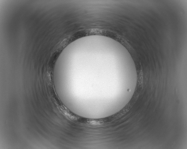 X0000080100522200612080933