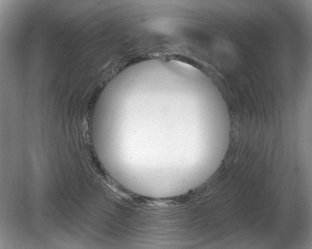X0000080100523200612080932