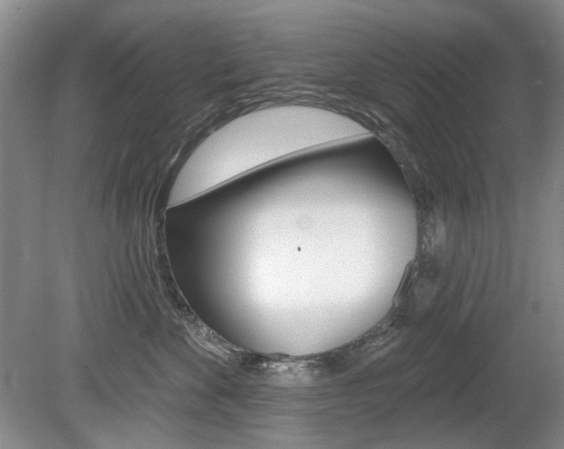 X0000080100524200612080932