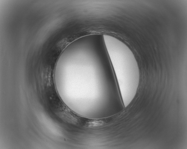 X0000080100525200612080932