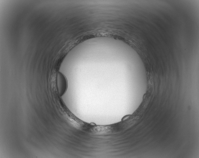 X0000080100526200612080932