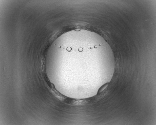 X0000080100527200612080932