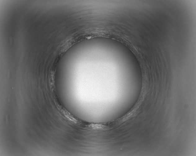 X0000080100528200612080932